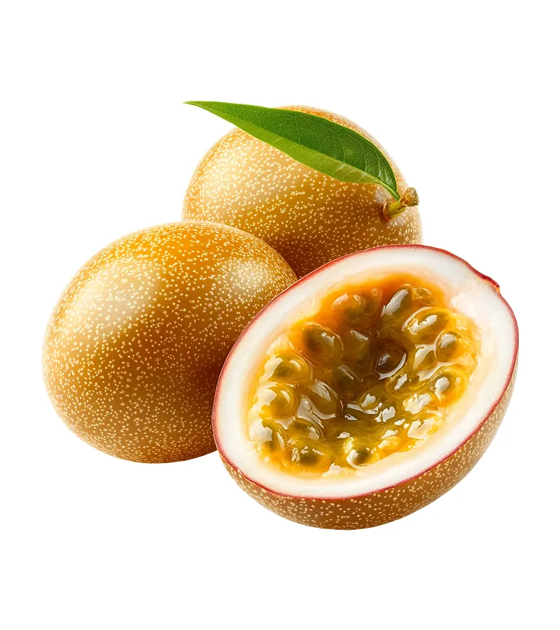 Premium Fruits for Your Everyday Healthy Lifestyle