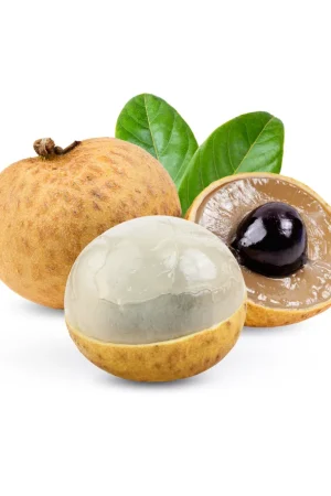 Sustainably Sourced Fruits, Delivered to Your Door
