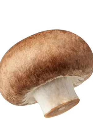 A Thoughtful Gift of Wholesome, Delicious Produce