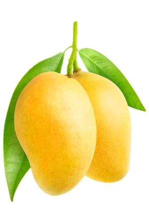 Unblemished and Naturally Delicious, Ready to Eat