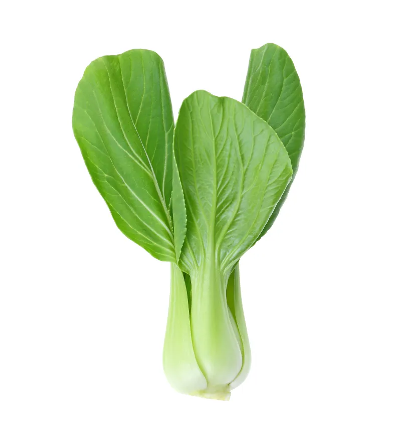 Experience the Finest Quality Fruits Available Online