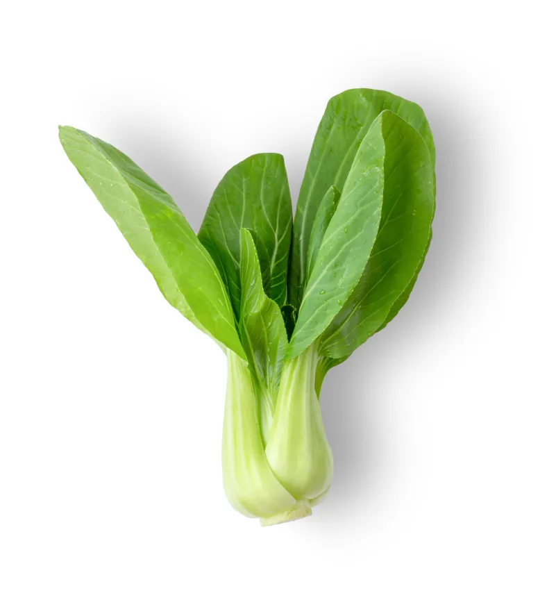 Experience the Finest Quality Fruits Available Online - Image 2