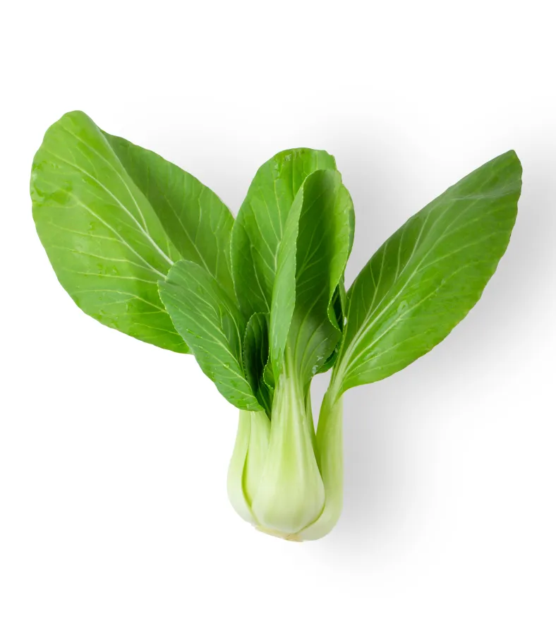 Experience the Finest Quality Fruits Available Online - Image 4