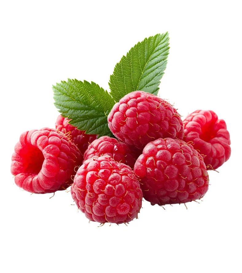 A Blend of Seasonal Fruits for Balanced Nutrition - Image 2