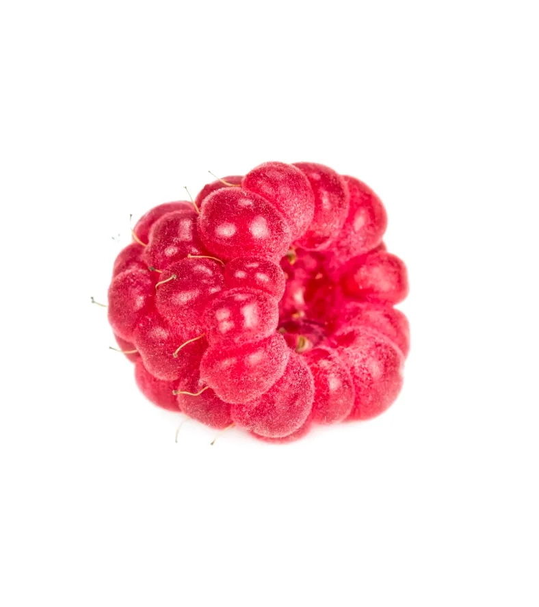 A Blend of Seasonal Fruits for Balanced Nutrition - Image 5