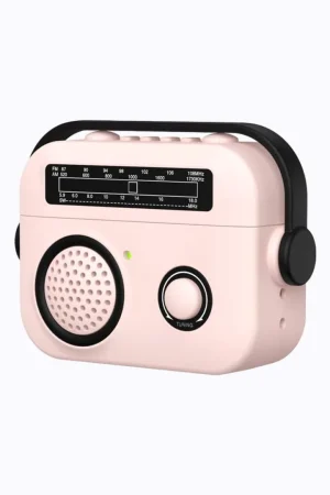 Creative Vintage Mini Radio Earphone Case