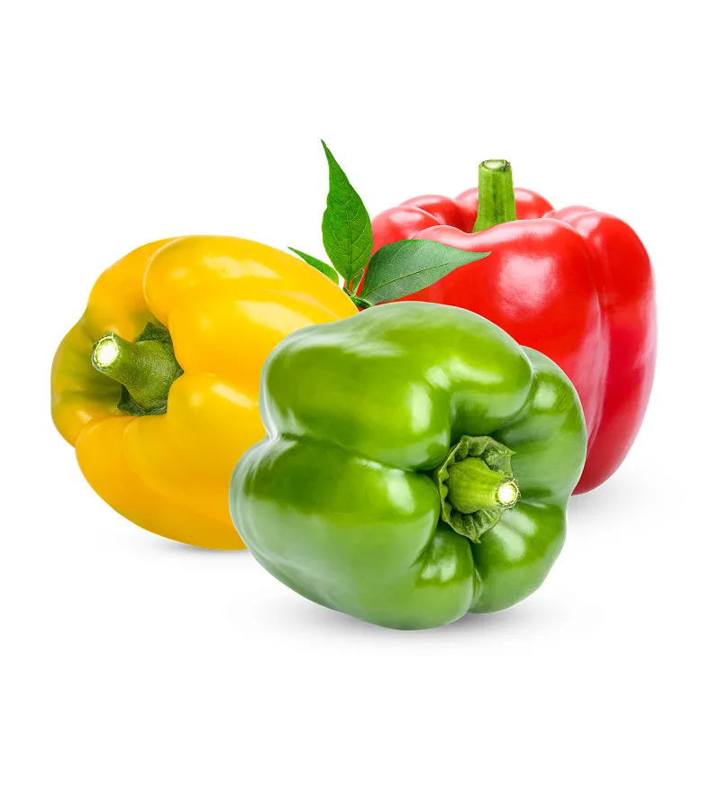 Premium Hand-Picked Seasonal Fruits for Your Table