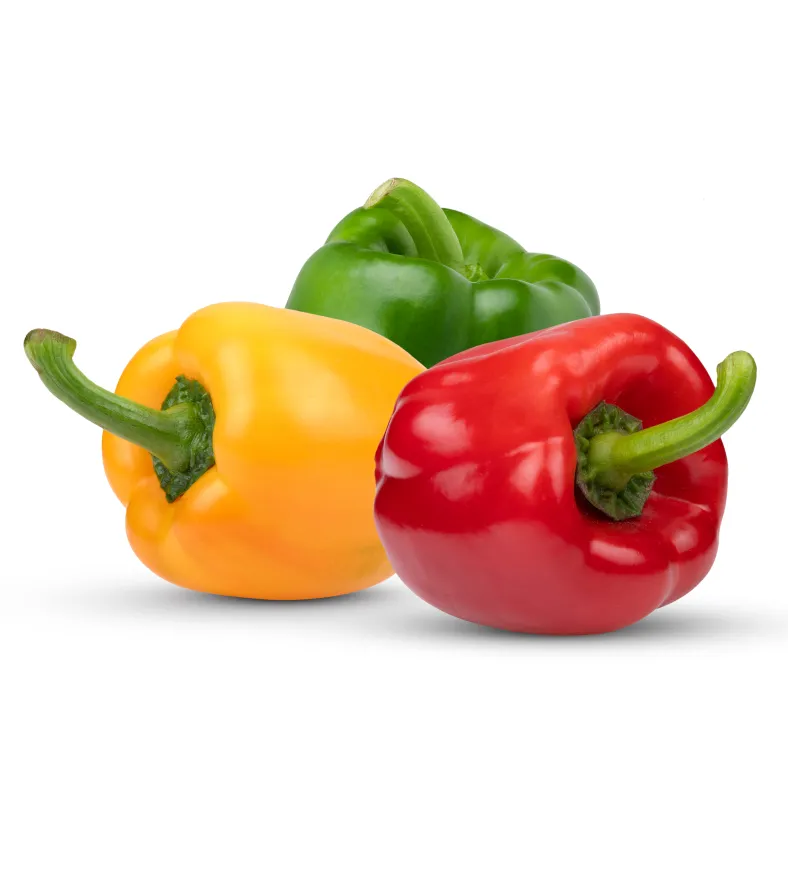 Premium Hand-Picked Seasonal Fruits for Your Table - Image 4
