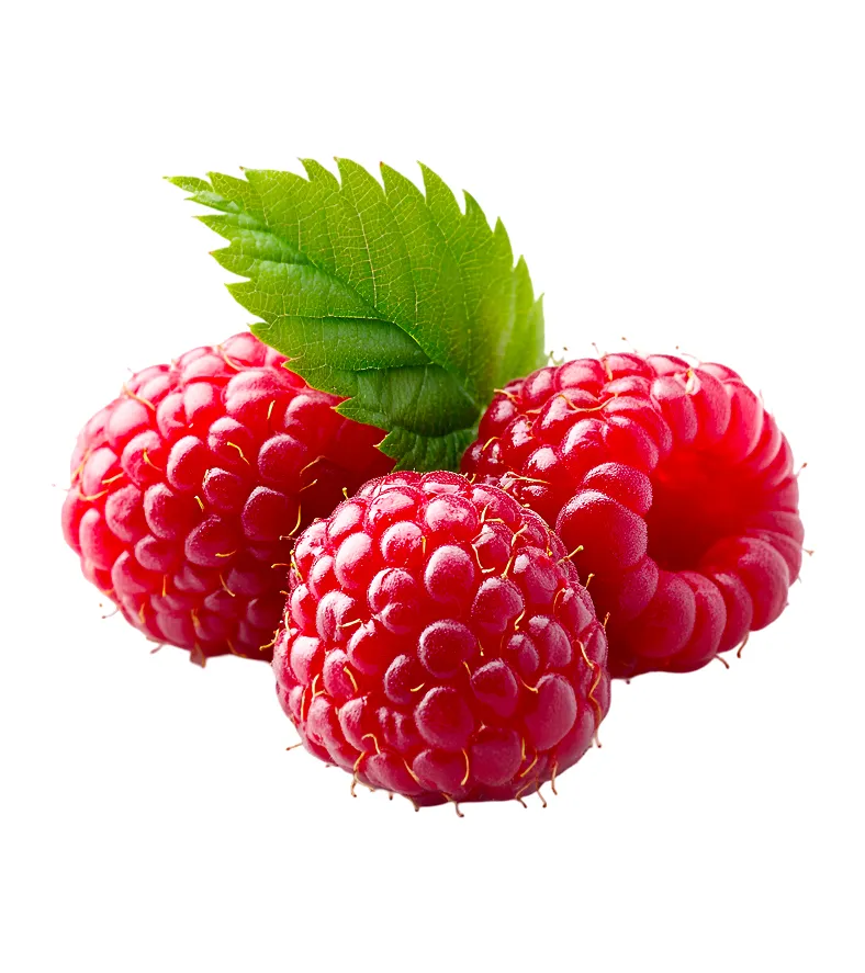 A Blend of Seasonal Fruits for Balanced Nutrition
