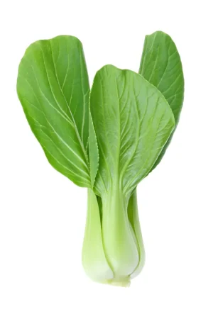Experience the Finest Quality Fruits Available Online